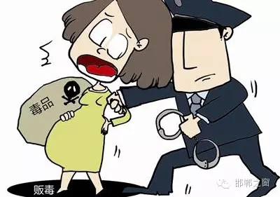 2016年初，涉縣警方查獲一起涉毒案件，鑒于該案涉案人員多、毒品交易量大，涉縣警方立即將案情上報(bào)，被公安部確立為“目標(biāo)-2016-314”號(hào)毒品案件。涉縣警方成立專案組，經(jīng)過多方追查，先后抓獲團(tuán)伙人員13名，繳獲毒品5349克，并查明上線“濮姐”的真實(shí)身份為陳某。